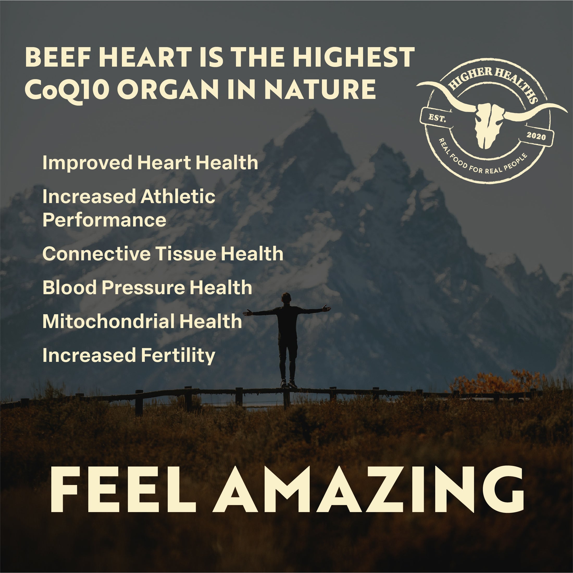 Beef Heart - Antioxidant Abundance