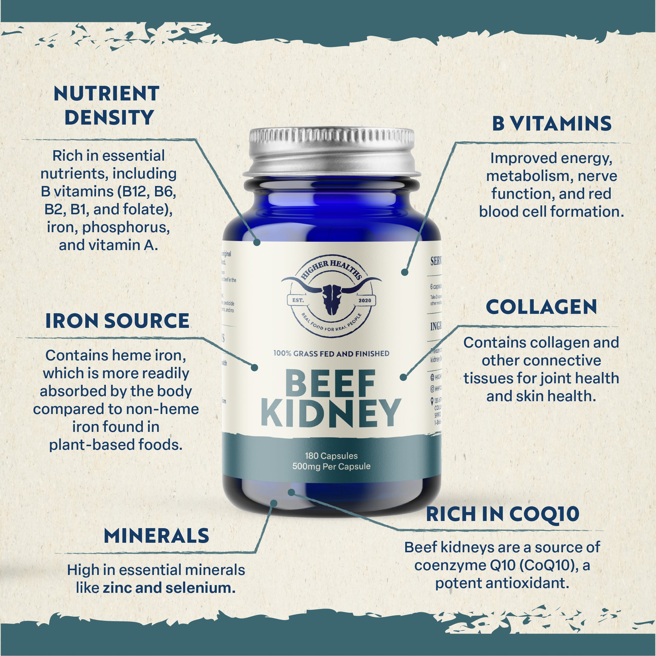 SUBSCRIBE & SAVE! Beef Kidney - Immune Maker